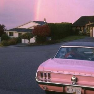 菊池风磨水溶溶的尺寸和参数介绍
