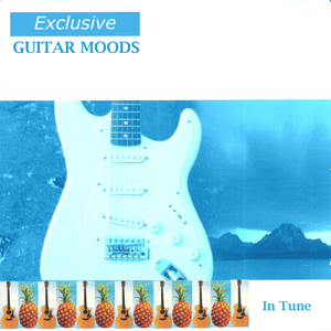 菊池风磨水溶溶的尺寸和参数介绍
